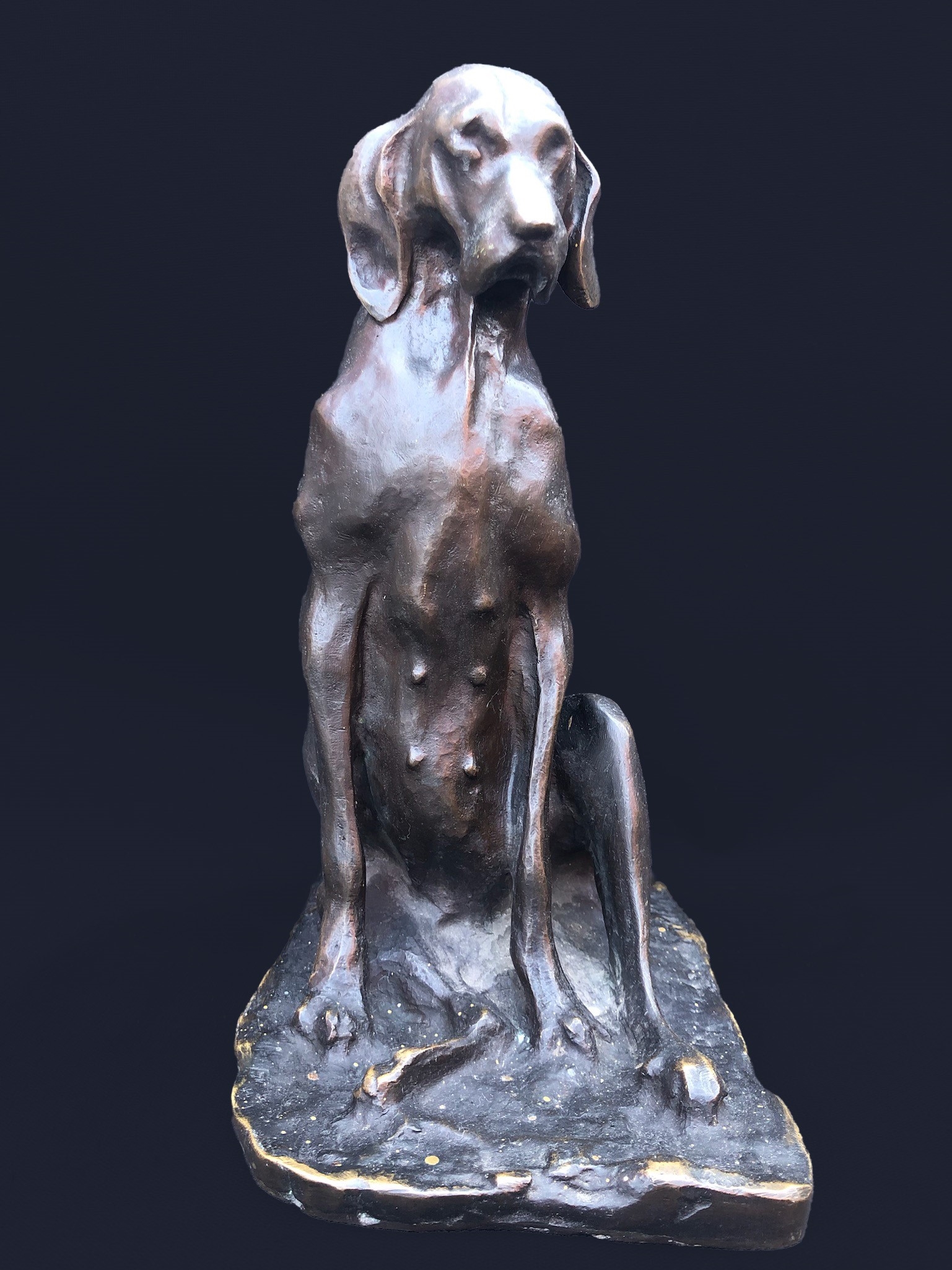 Paul Troubetzkoy | CAGNETTA GRAVIDA (1866) | MutualArt