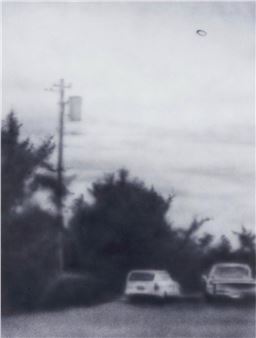 Nose In A Bush - Aryo Toh Djojo