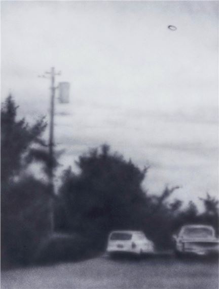 Nose In A Bush by Aryo Toh Djojo, 2022