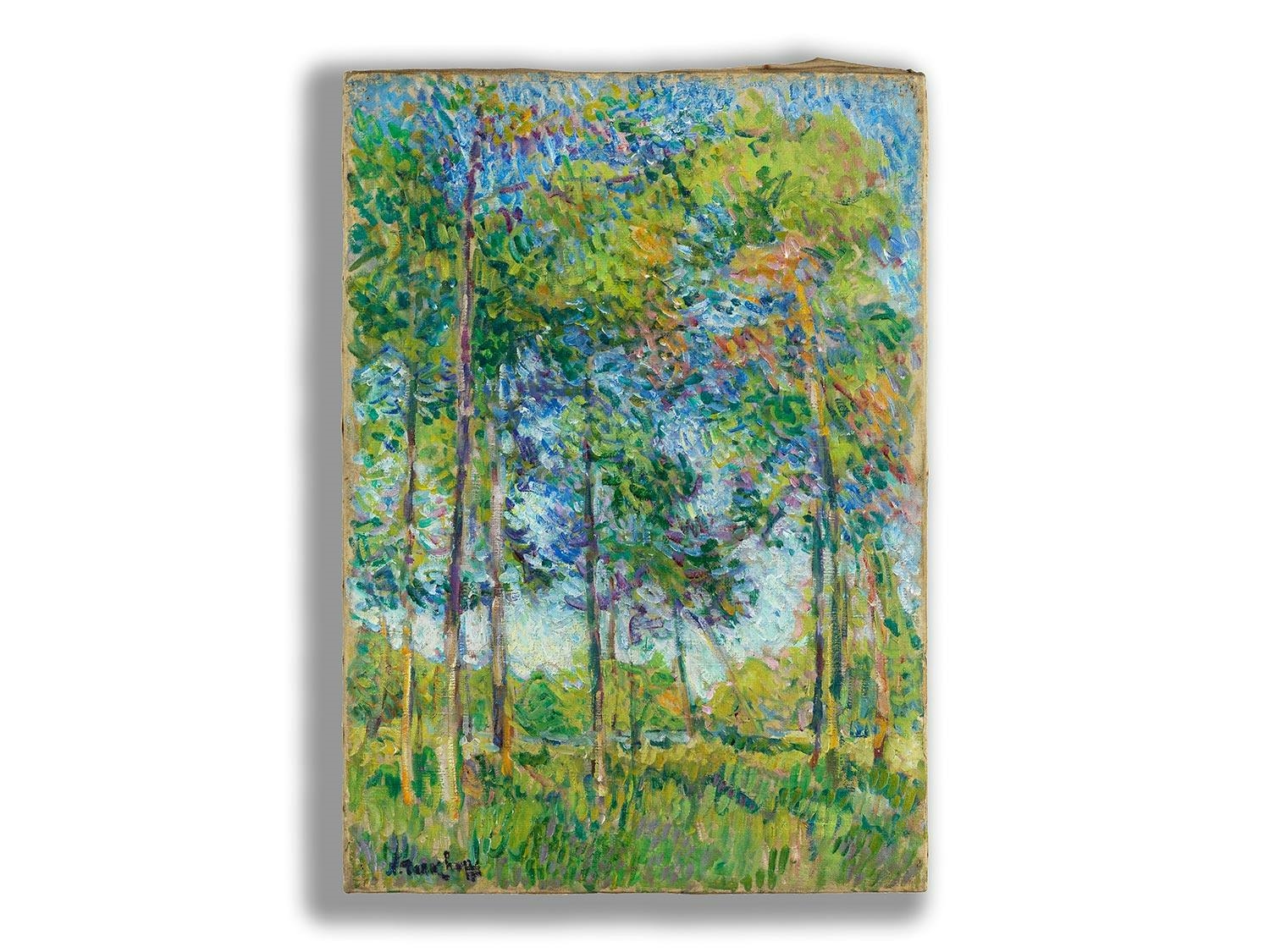 Artwork by Nikolai Alexandrovich Tarkhoff, FORÊT DE SOULAC, 1906, Made of oil on canvas