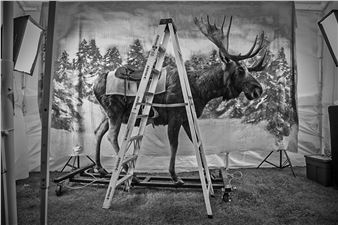 Documenting The Alaska State Fair by Clark James Mishler