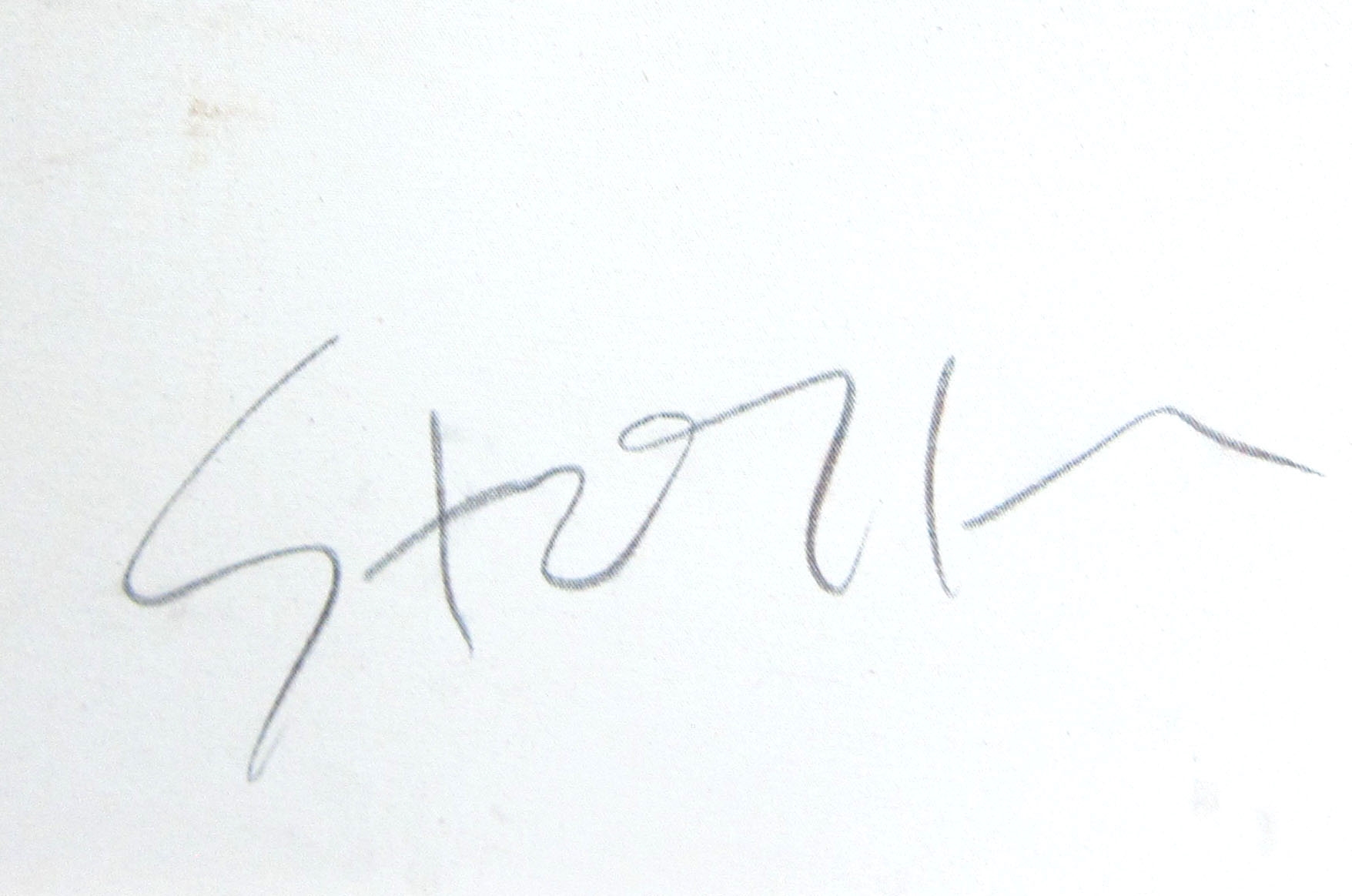 Steven | Steven Stoller (1945 -, Amér | MutualArt