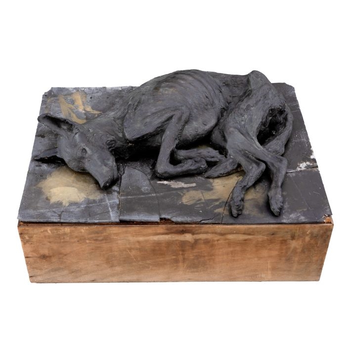 Artwork by Julio López Hernández, Perro, Made of Bronce sobre superficie de pizarra y cajón de madera