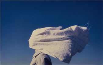 I Begged the Wind to Blow I - Cherine Fahd