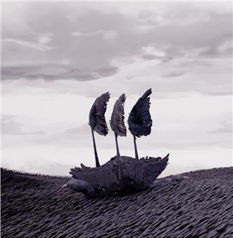 Jasmine Togo-Brisby: Ungeographic - Pataka Art + Museum