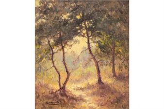 Boszicht - Jos Stokbroeckx