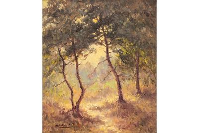 Boszicht - Jos Stokbroeckx