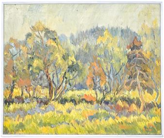 Morning Haze in the Valley - Ilse Killian-tan