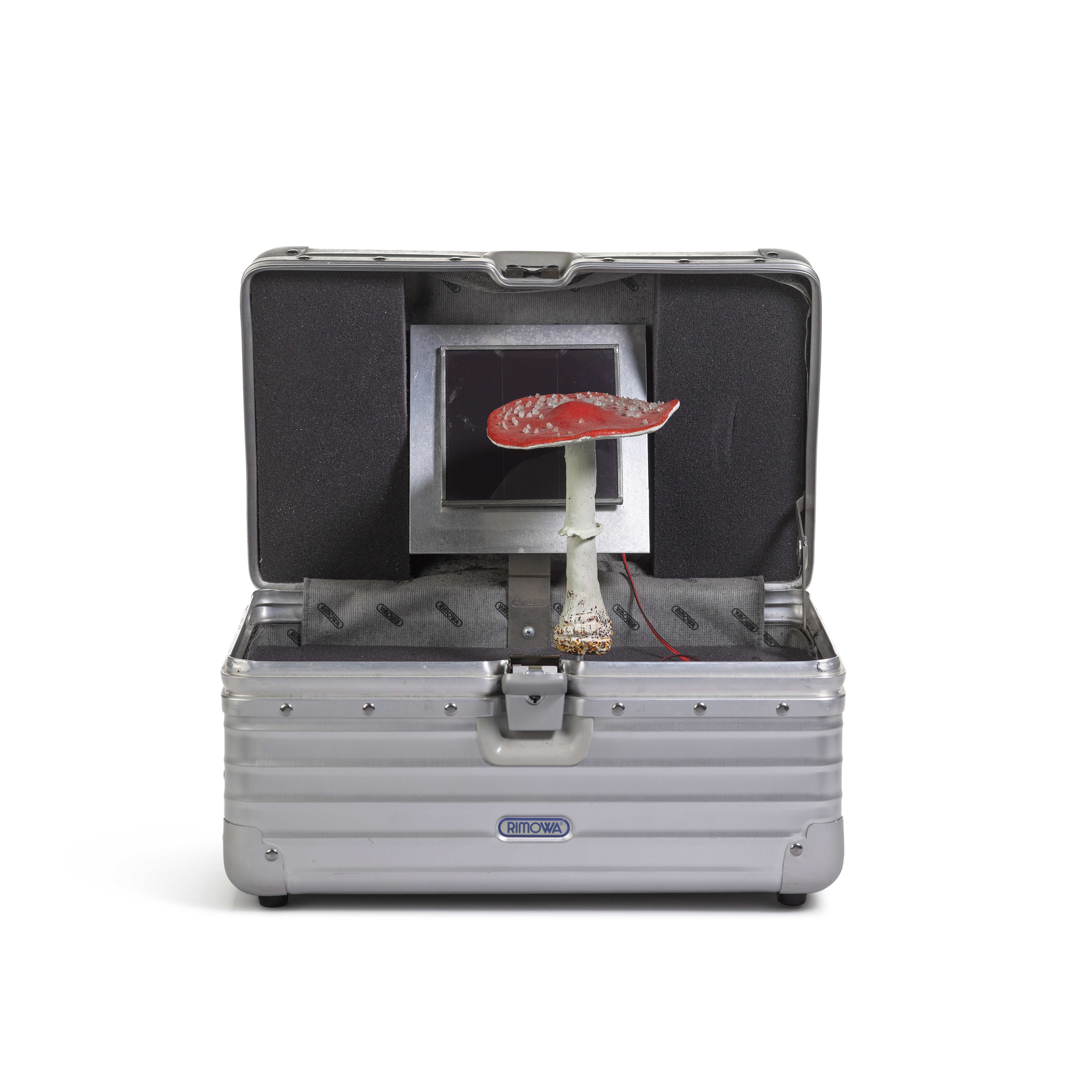 Artwork by Carsten Höller, Pilzkoffer (rot, Made of painted wood, glass