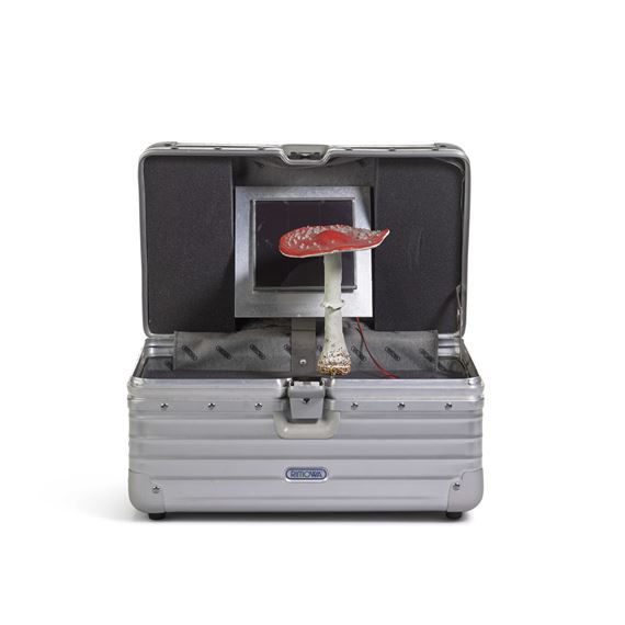 Pilzkoffer (rot - Carsten Höller