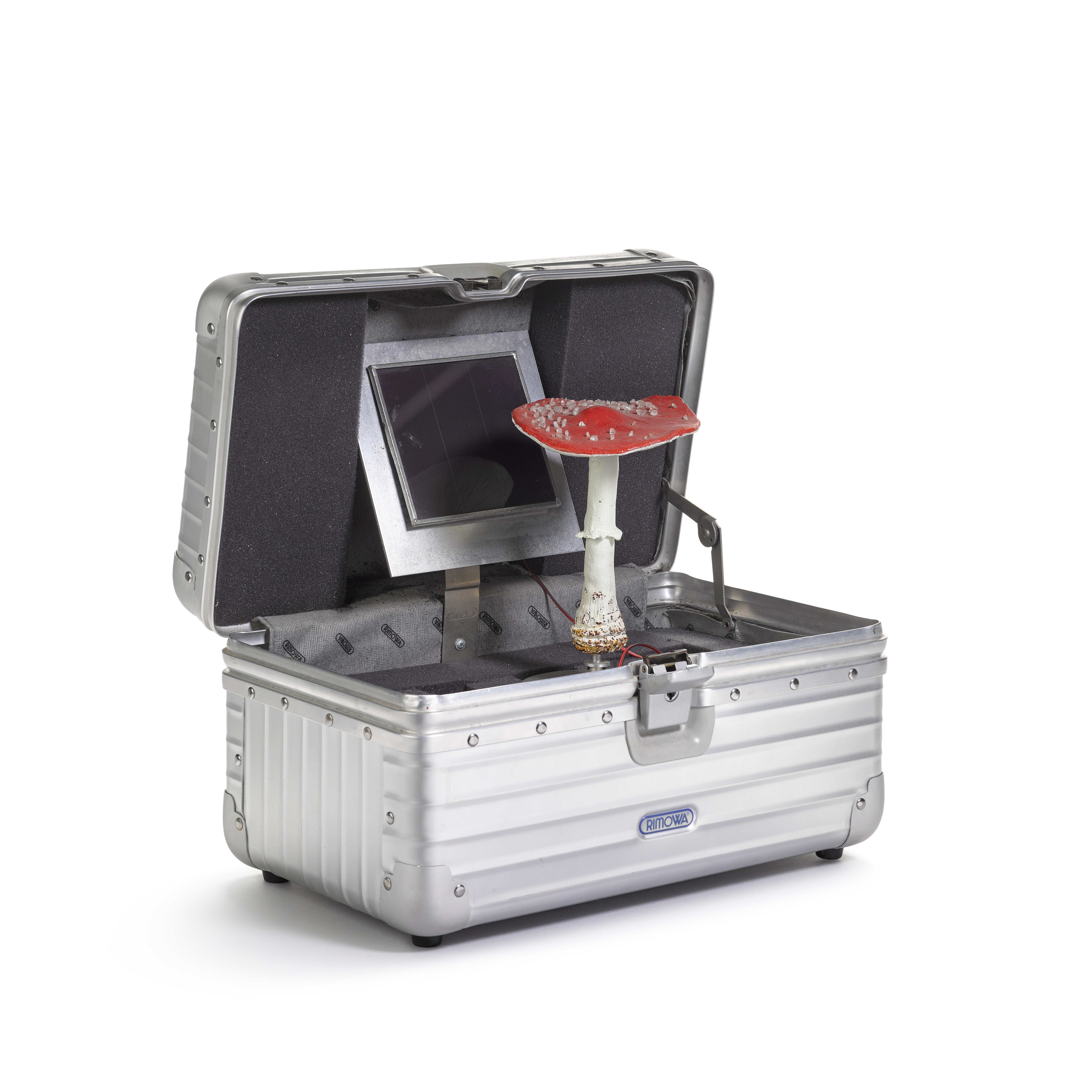 Artwork by Carsten Höller, Pilzkoffer (rot, Made of painted wood, glass