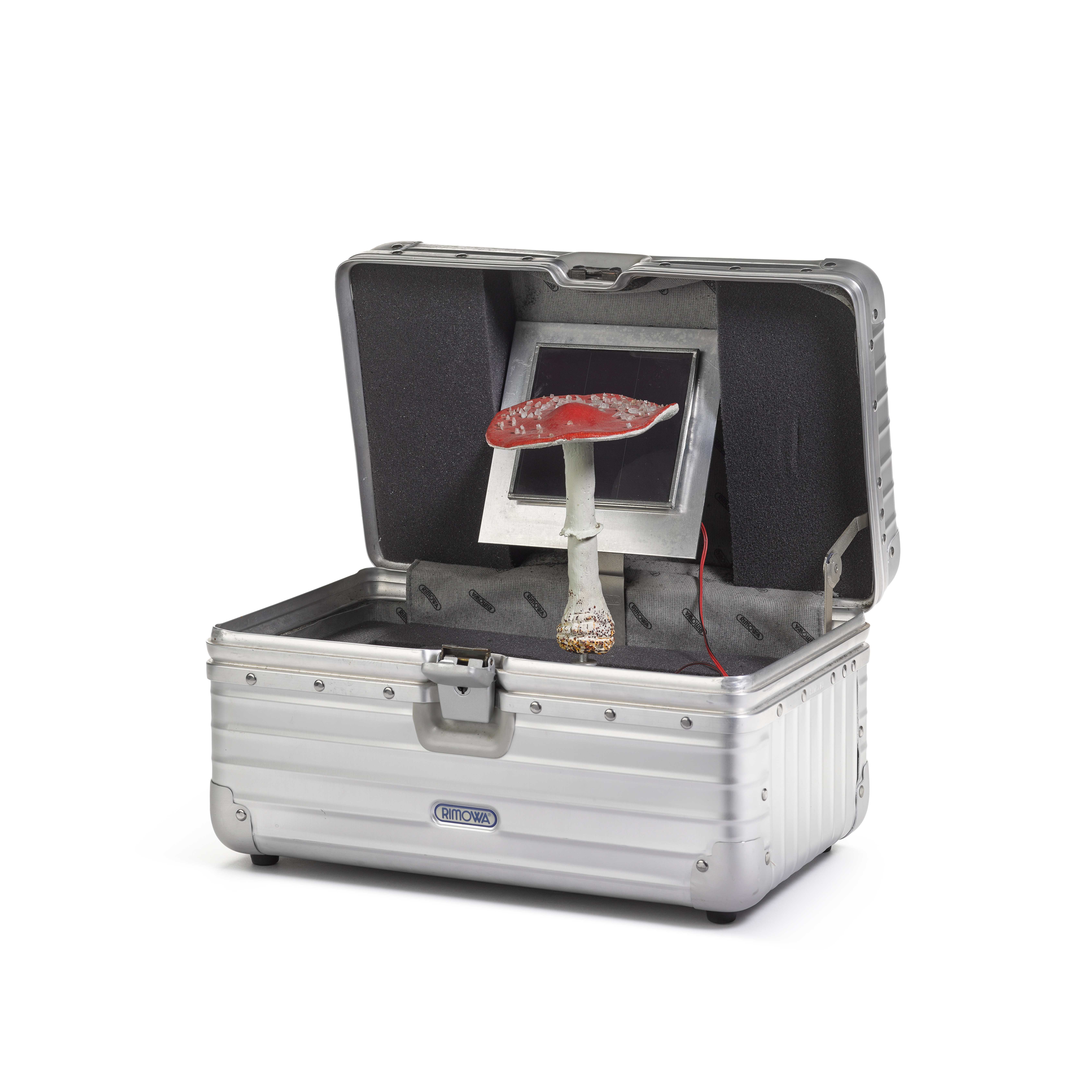 Artwork by Carsten Höller, Pilzkoffer (rot, Made of painted wood, glass