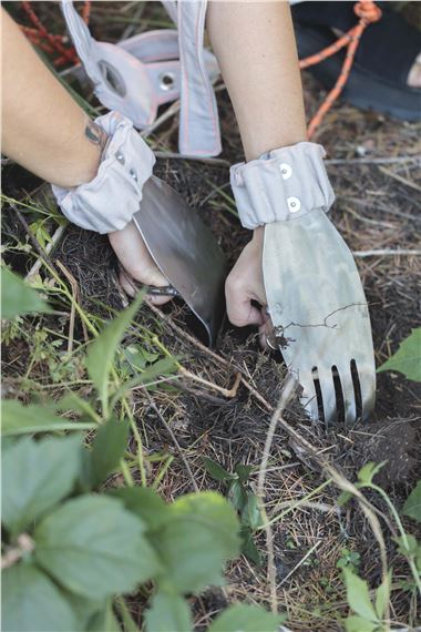 Out of Sight: Out of Place - TENT