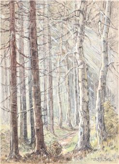 222. Les - Vilém Topinka