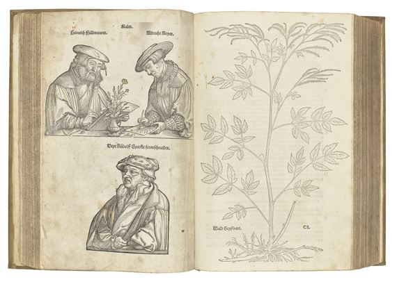 New Kreuterbuch. Basel: Michael Isingrin - Veit Rudolph Specklin