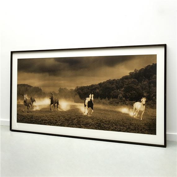 Horses #115 by Michael Eastman