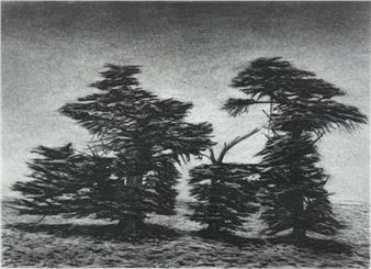 Broken Cypress - Kathryn Ryan