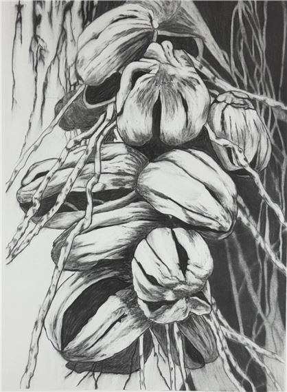 Seed Pod #1 - Kathryn Ryan