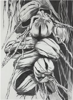 Seed Pod #1 - Kathryn Ryan