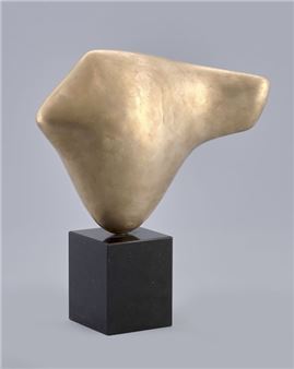 The Fish - Lucien Wercollier