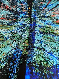 The New Abstraction - Maine Museum of Photographic Arts (MMPA)