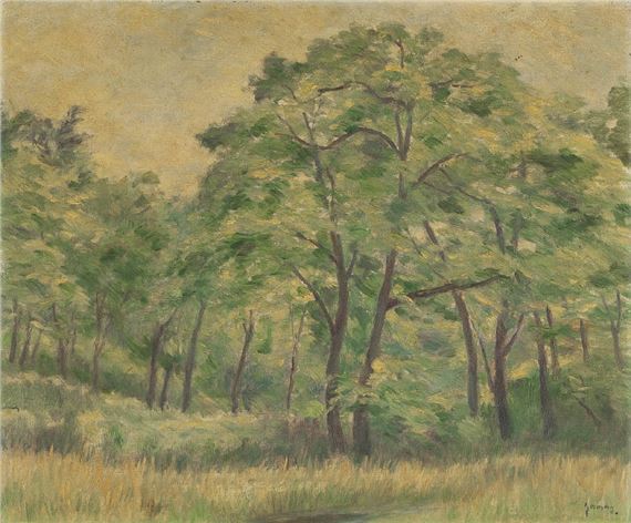 Fresh greenery in the Shirokane Goryorin by Shintaro Yamashita