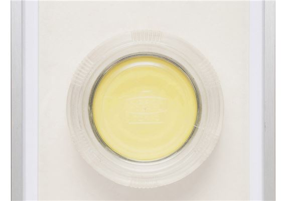 Sean Hemmerle | SEAN HEMMERLE, SET OF 9 PHOTOGRAPHS OF LENS GELS (2012 ...