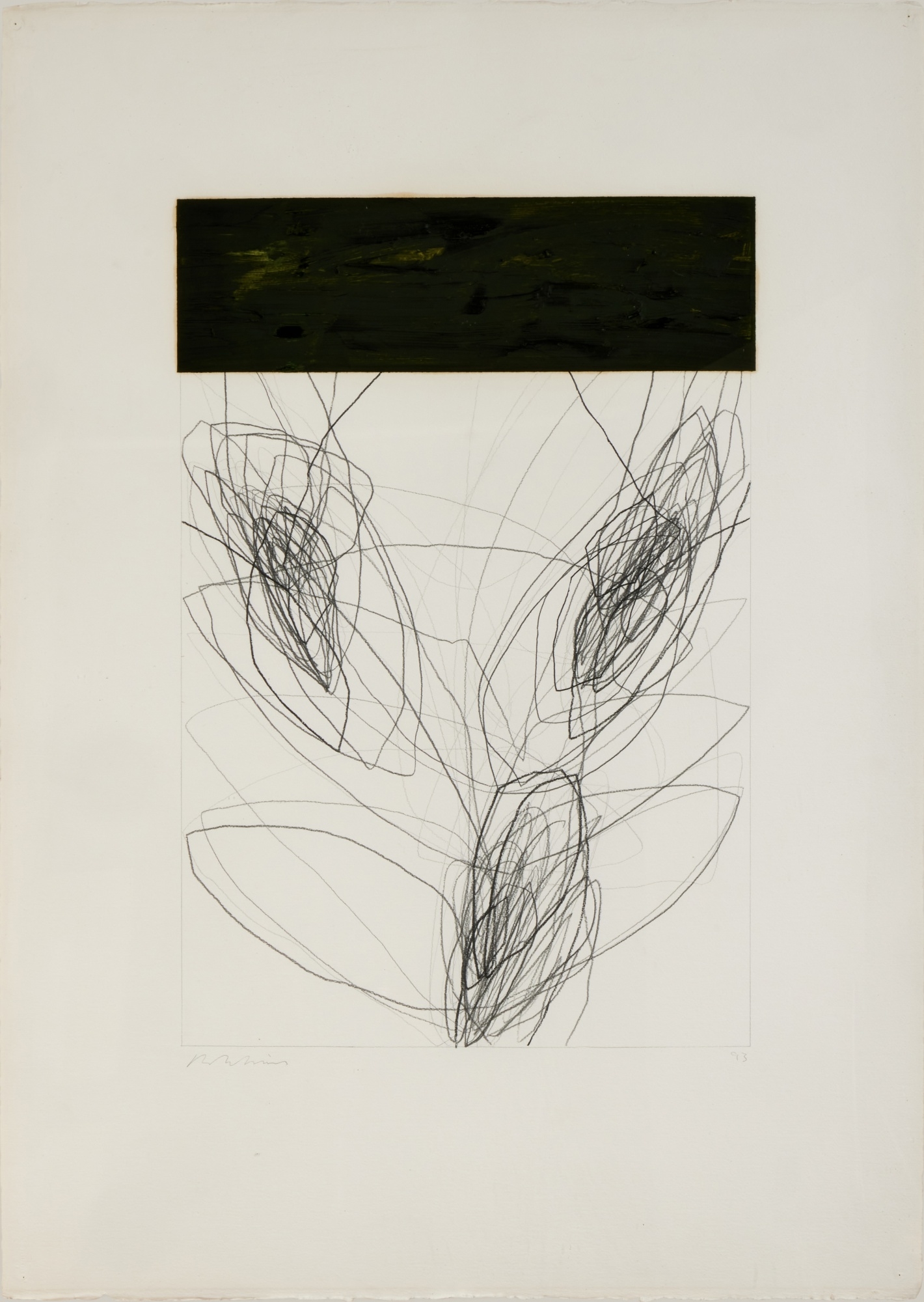 Artwork by Bruce Robbins, Venus, Made of graphite and oil on gesso on Arches paper