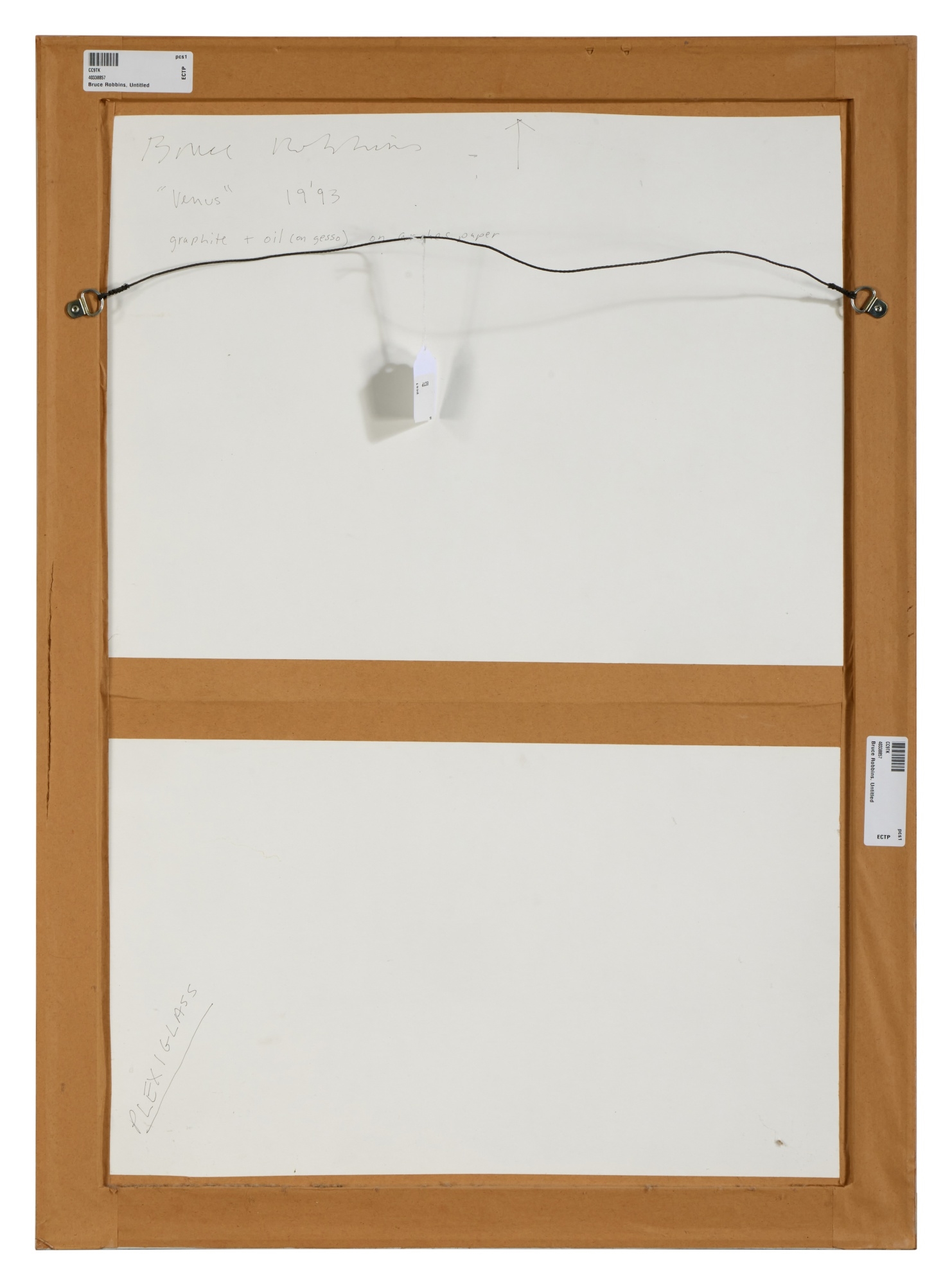 Artwork by Bruce Robbins, Venus, Made of graphite and oil on gesso on Arches paper