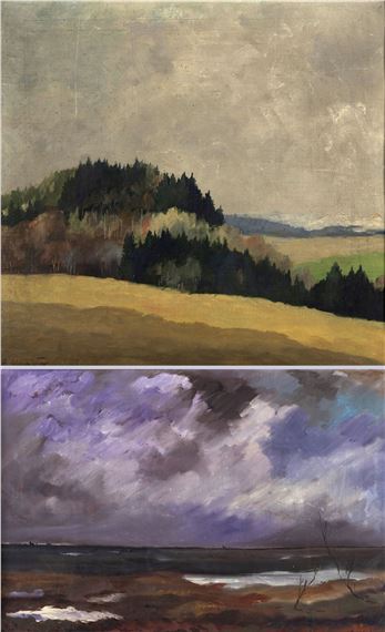 Voralpenlandschaft. Stürmisches Seeufer - A. Schneider
