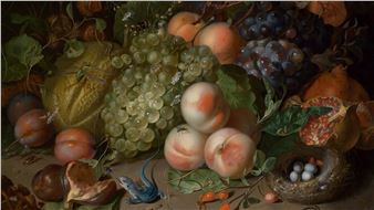Rachel Ruysch: Artist, Naturalist, and Pioneer - Museum of Fine Arts, Boston