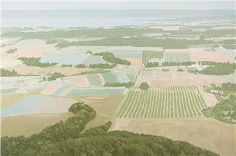 An aerial view of a patchwork agricultural landscape with rows of crops and distant water.