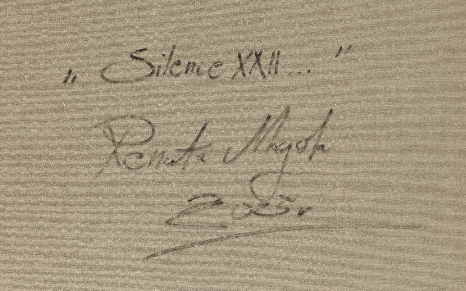 Artwork by Renata Magda, Silence XXII, Made of acrylic/canvas