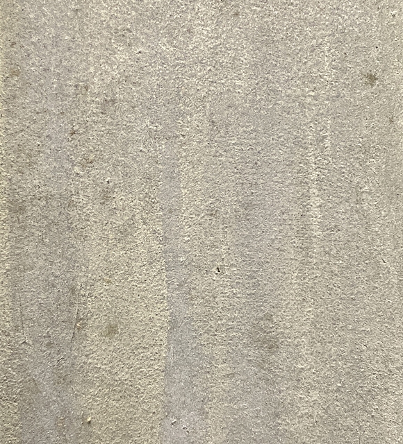 Artwork by Meiji Hashimoto, iris, Made of ink and color on paper