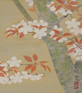 Sakura - Keika Kanashima