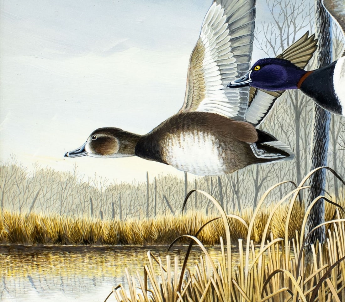 Carl Knuth | Swamp Ring Neck Ducks | MutualArt