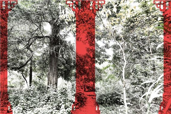 ​North Terrace: Worlds in relief - Samstag Museum of Art 