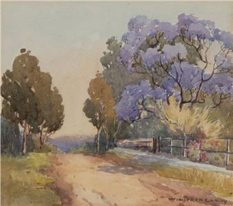 Jacarandas, Beecroft - Winifred Caddy