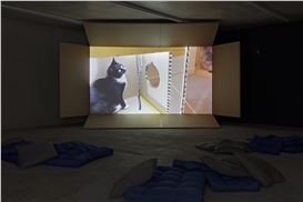 “Whispers from Tides and Forests” at Kunsthaus Baselland, Basel