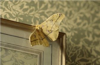 Minne Kersten - Annet Gelink Gallery