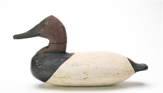 Canvasback by William Heverin