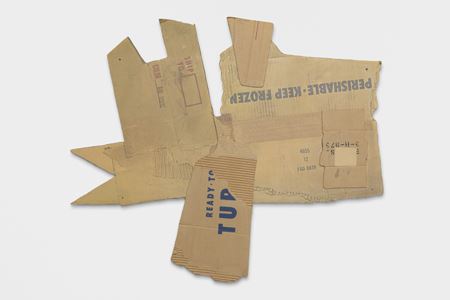 Robert Rauschenberg: Cardbirds - Virginia Museum of Fine Arts