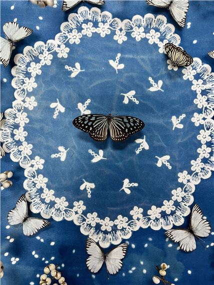 Lady Bug: An Installation by Jennifer Angus - Zuckerman Museum of Art