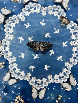 Lady Bug: An Installation by Jennifer Angus