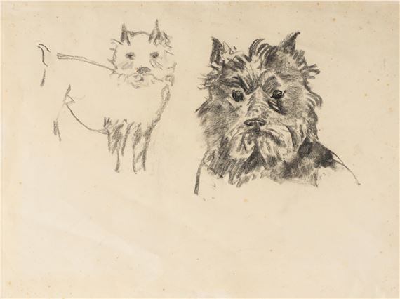 Zwergschnautzer by Silvia Koller