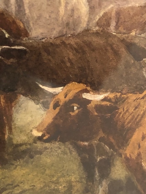 Thomas Rowden | water colour painting of cattle in a valley (1997 ...