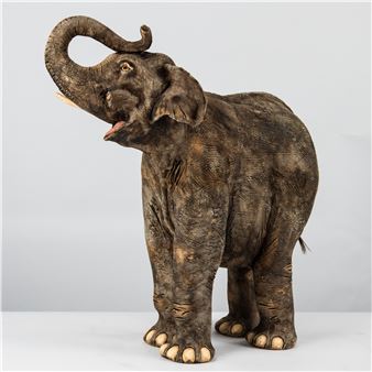 BULL ELEPHANT - JJ Vincent