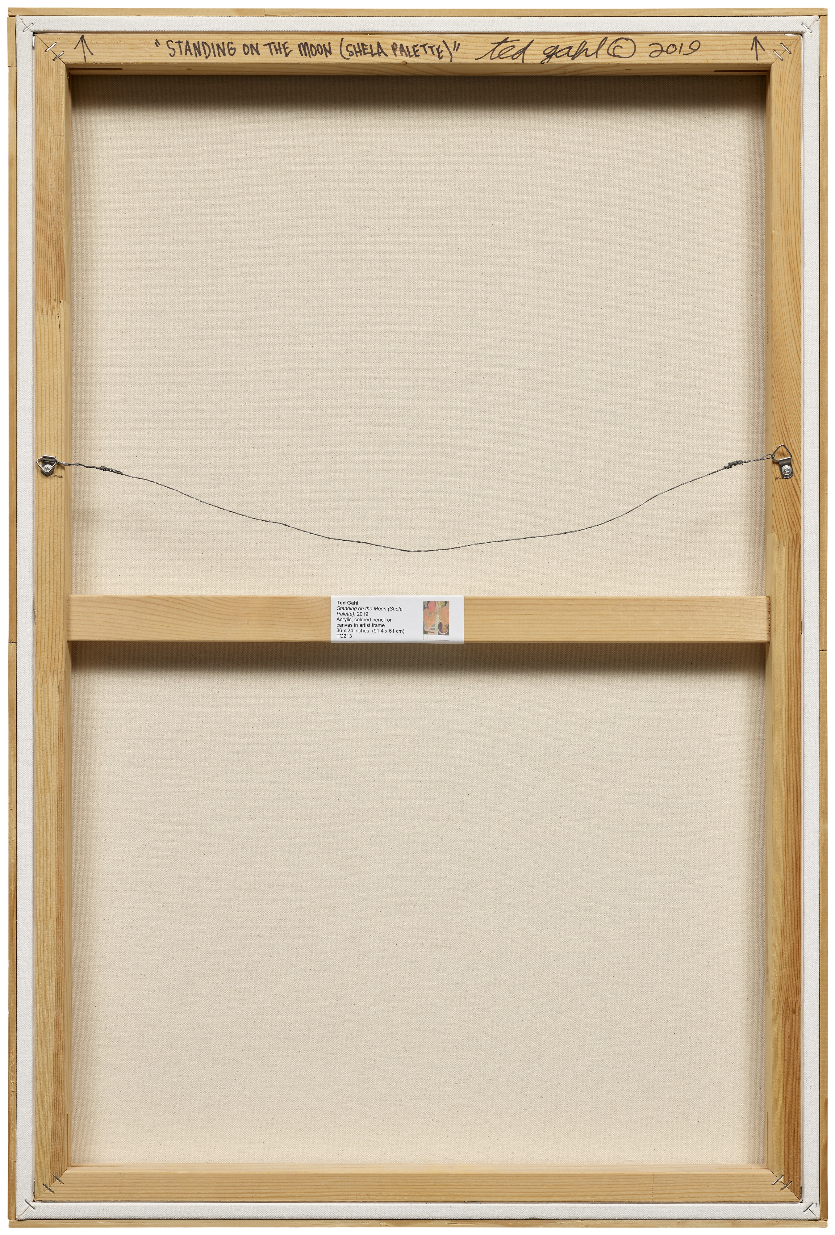 Artwork by Ted Gahl, Standing on the Moon (Shela Palette), Made of acrylic and color pencil on canvas, in artist's frame