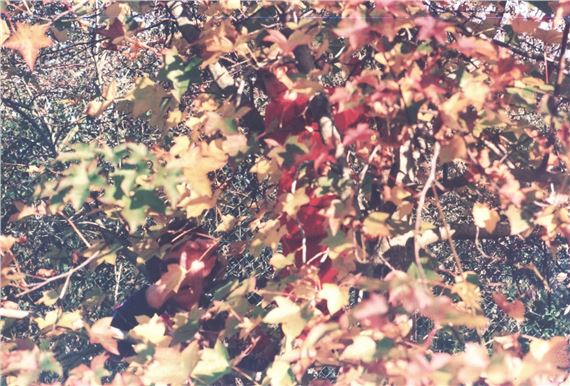 There’s a leaf in my hand - School of Visual Arts, Flatiron Gallery