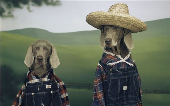 A Dog's Life - The Harley Gallery